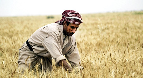 Food security in Iraq 